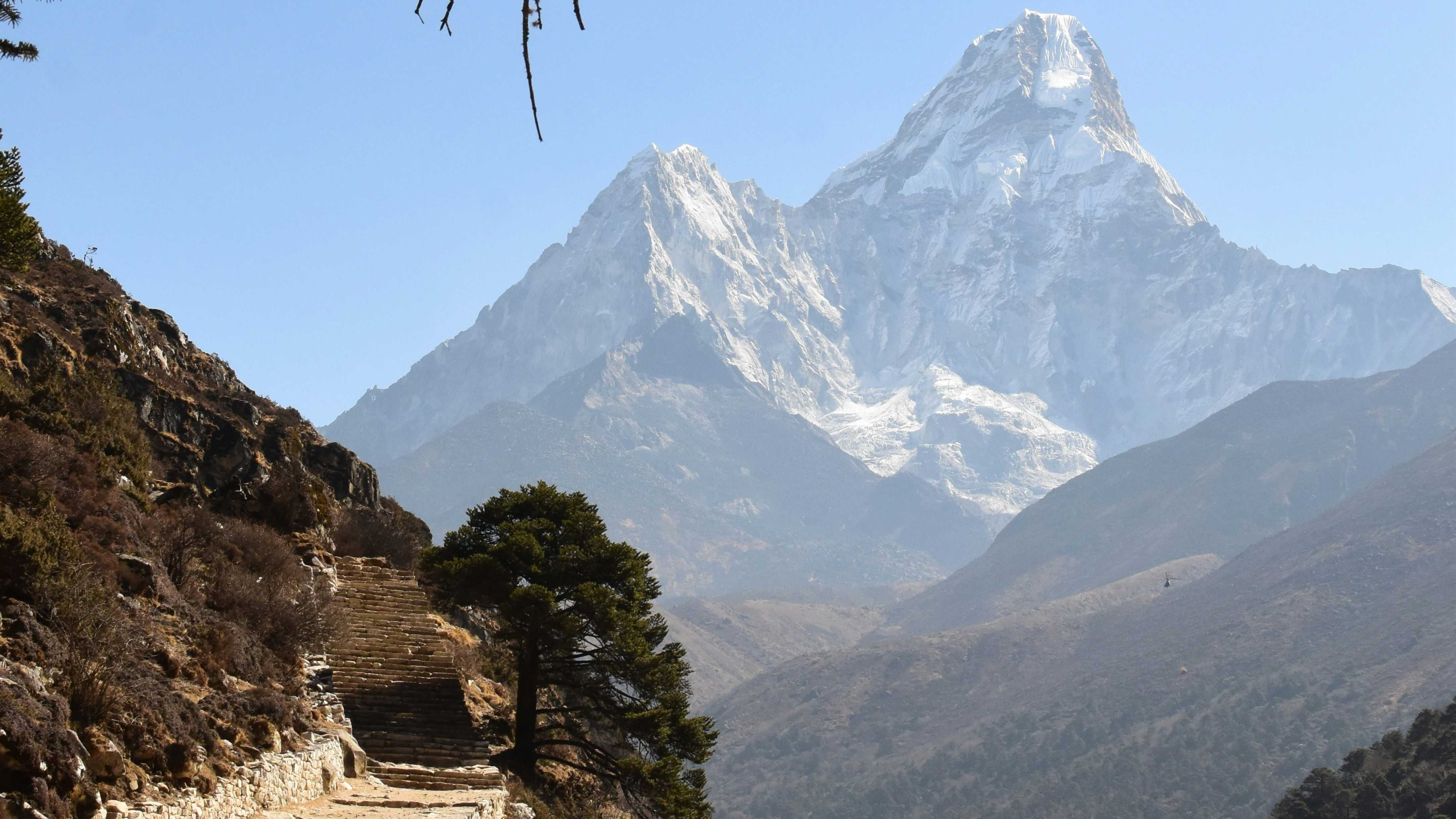 Water Filter Squeeze